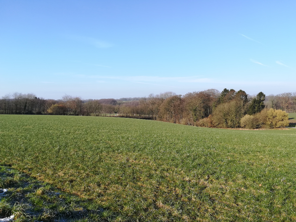 Wandertag – Neanderland