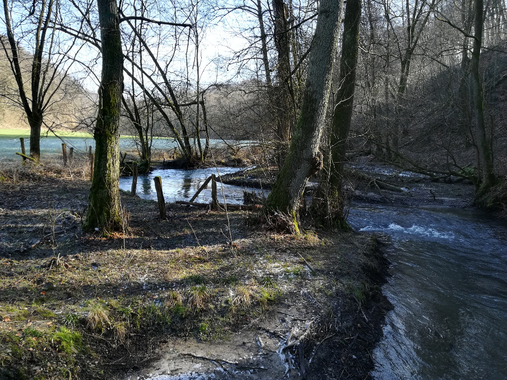 Wandertag – Neanderland