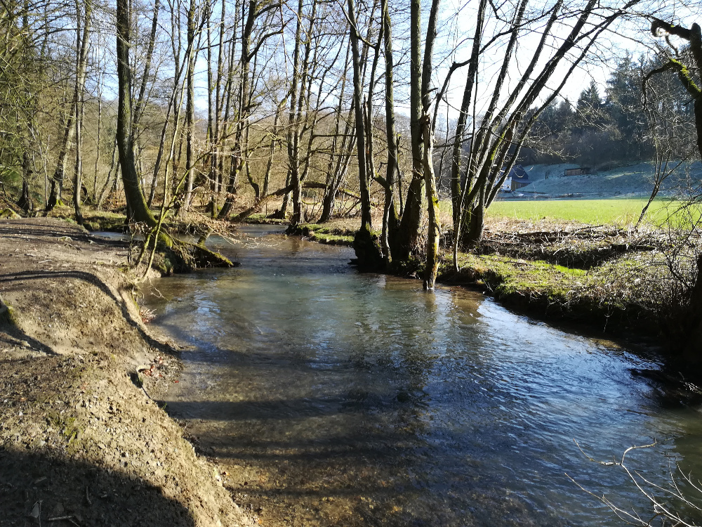 Wandertag – Neanderland