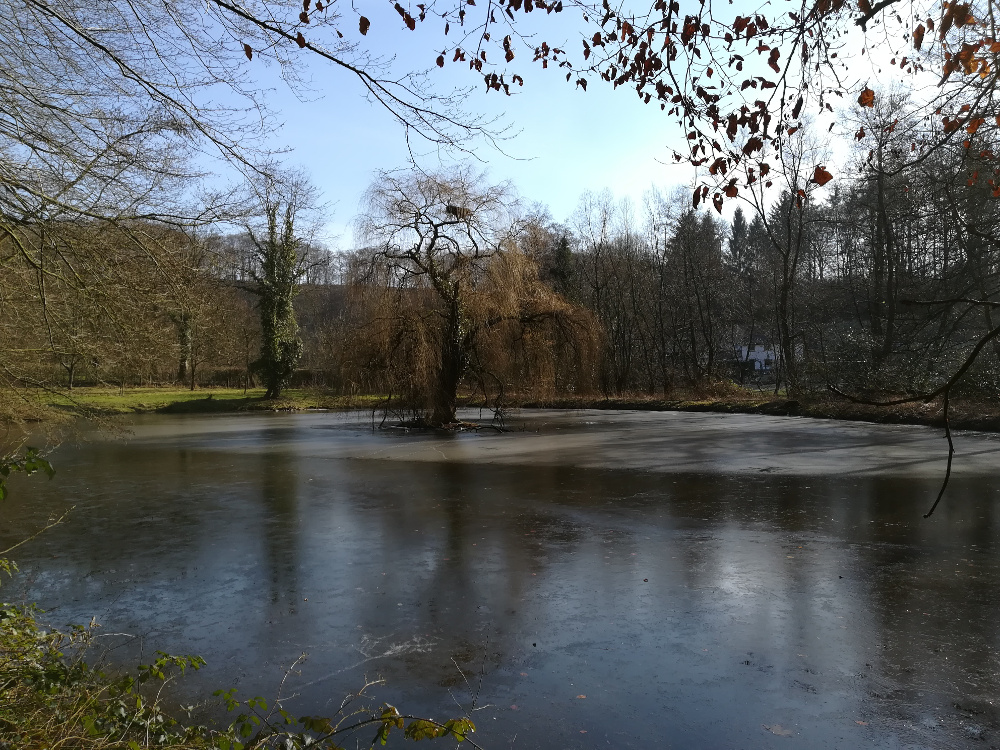 Wandertag – Neanderland