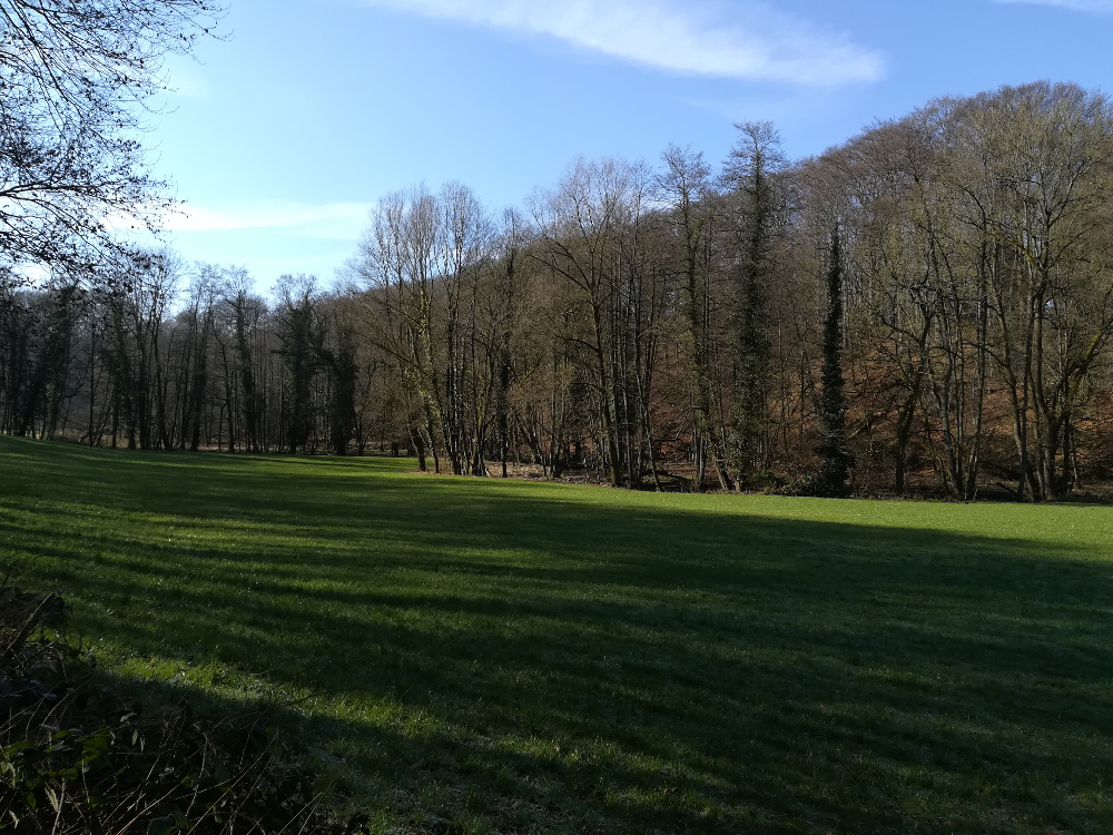Wandertag – Neanderland
