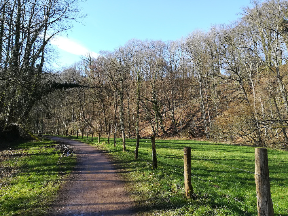 Wandertag – Neanderland