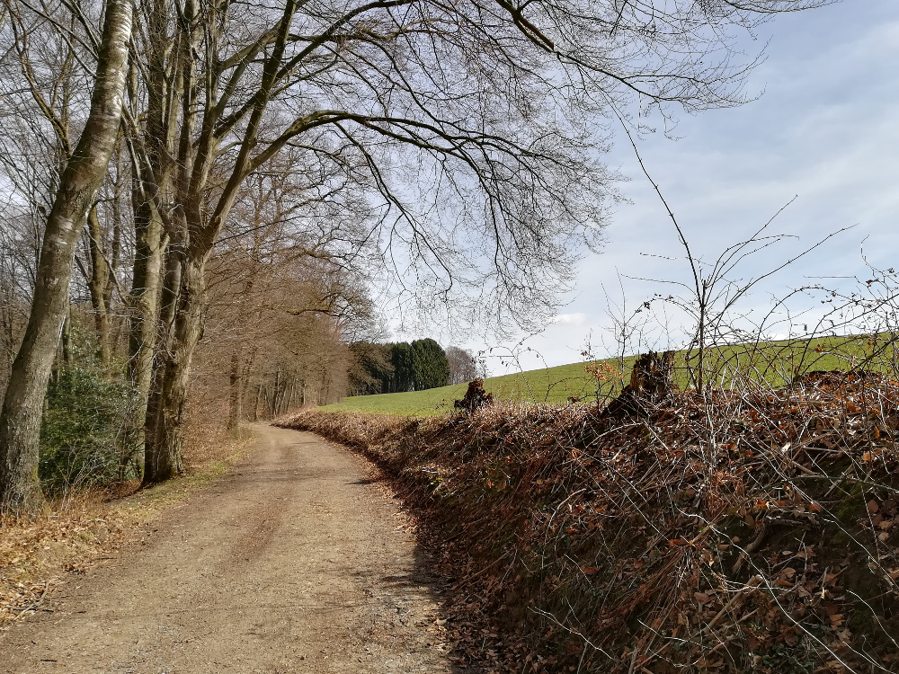 Wandertag – Marialinden Tour 4