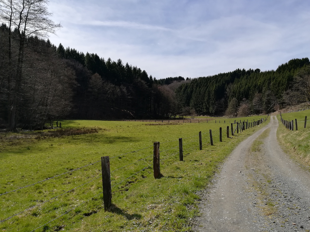 Wandertag – Marialinden Tour 4