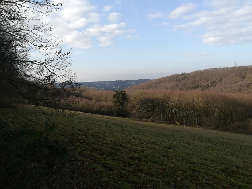 Rund um den Arenberg