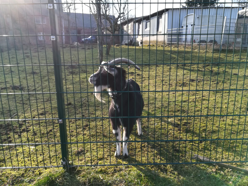 Rund um den Arenberg