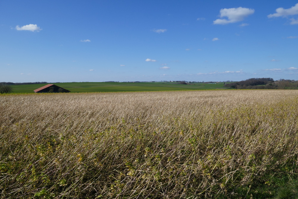 Wandertag Neanderland II – Vor den Toren Mettmanns
