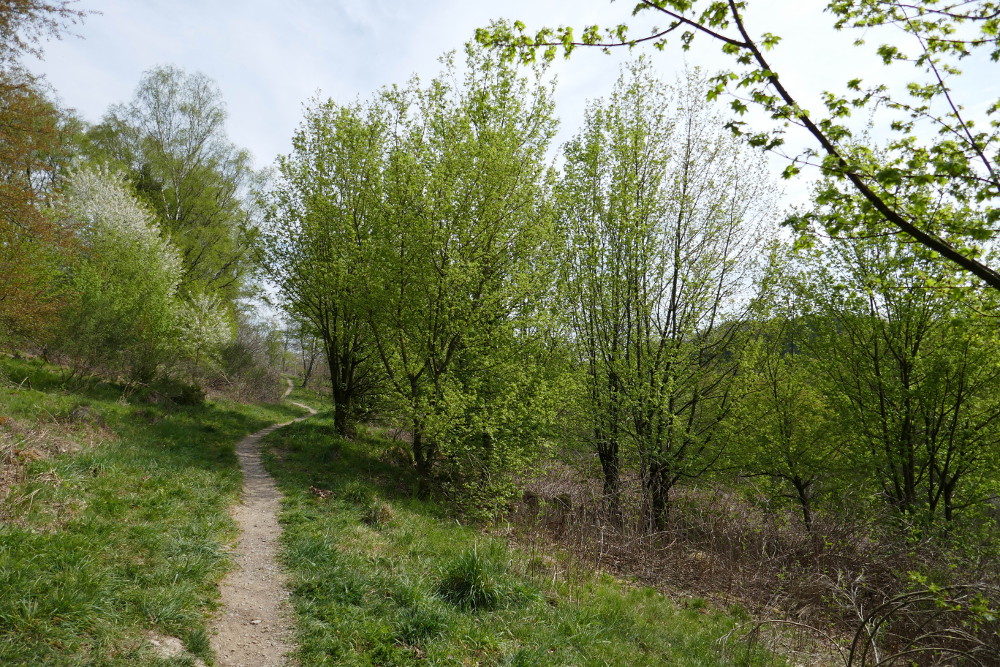 Von Beyenburg nach Radevormwald und zurück