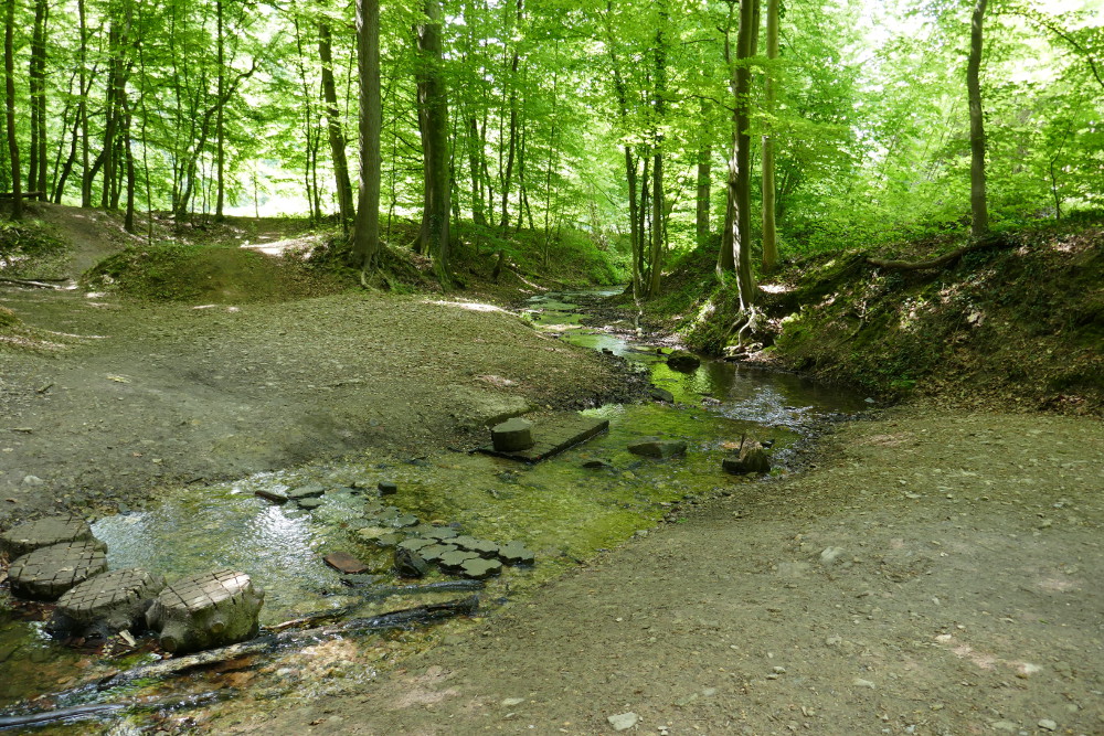 Leichlingen – Witzhelden – Diepentaler Talsperre