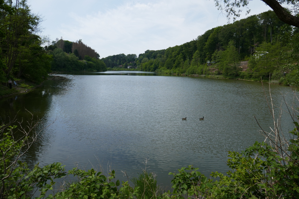 Leichlingen – Witzhelden – Diepentaler Talsperre
