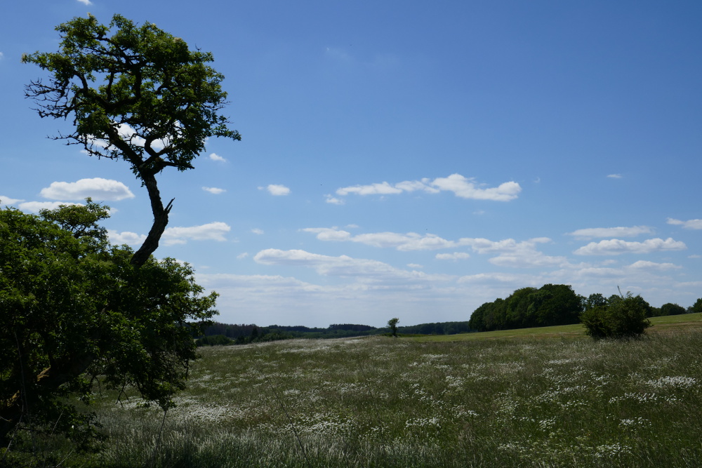 Breckerfelder Wanderpass