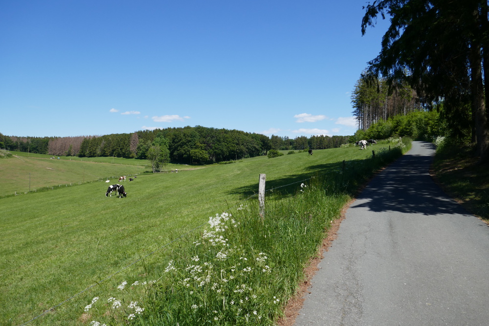 Breckerfelder Wanderpass