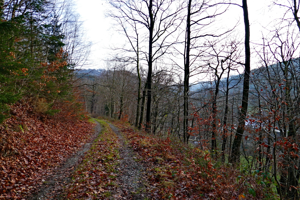 Luftige Höhen, murmelnde Bäche, Ennepetal