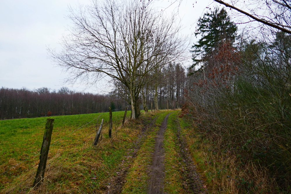 Luftige Höhen, murmelnde Bäche, Ennepetal
