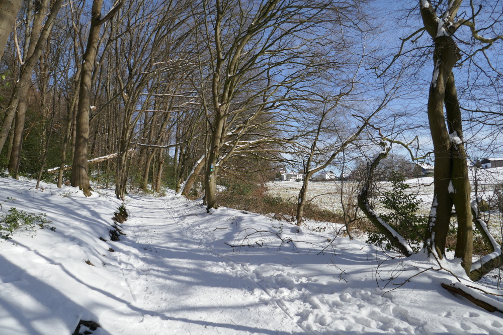 Drei-Dörfer-Weg Esborn