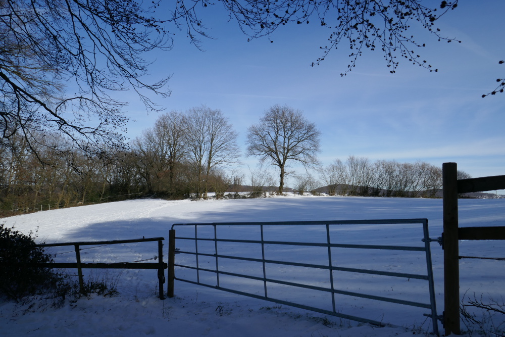 Drei-Dörfer-Weg Esborn