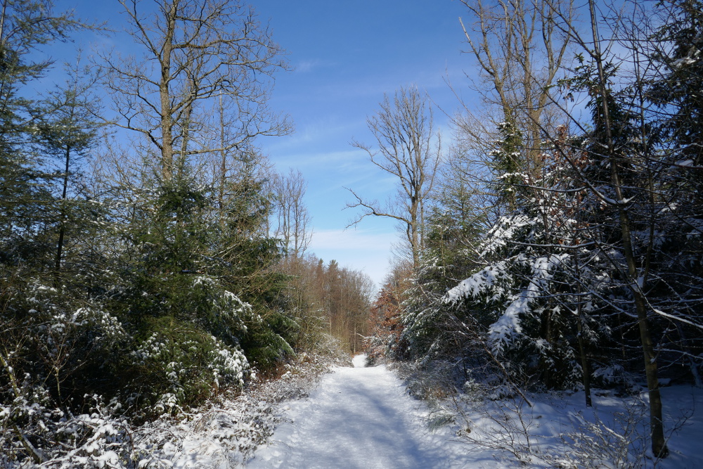 Drei-Dörfer-Weg Esborn
