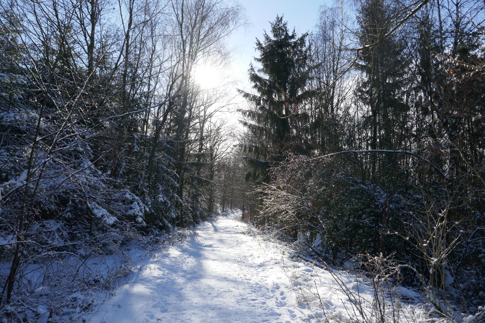 Drei-Dörfer-Weg Esborn
