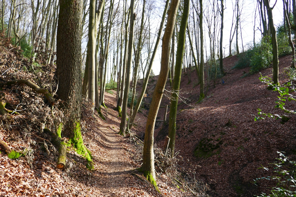 Wandertag – Marialinden Tour 3 – Aggertal und Naafbachtal