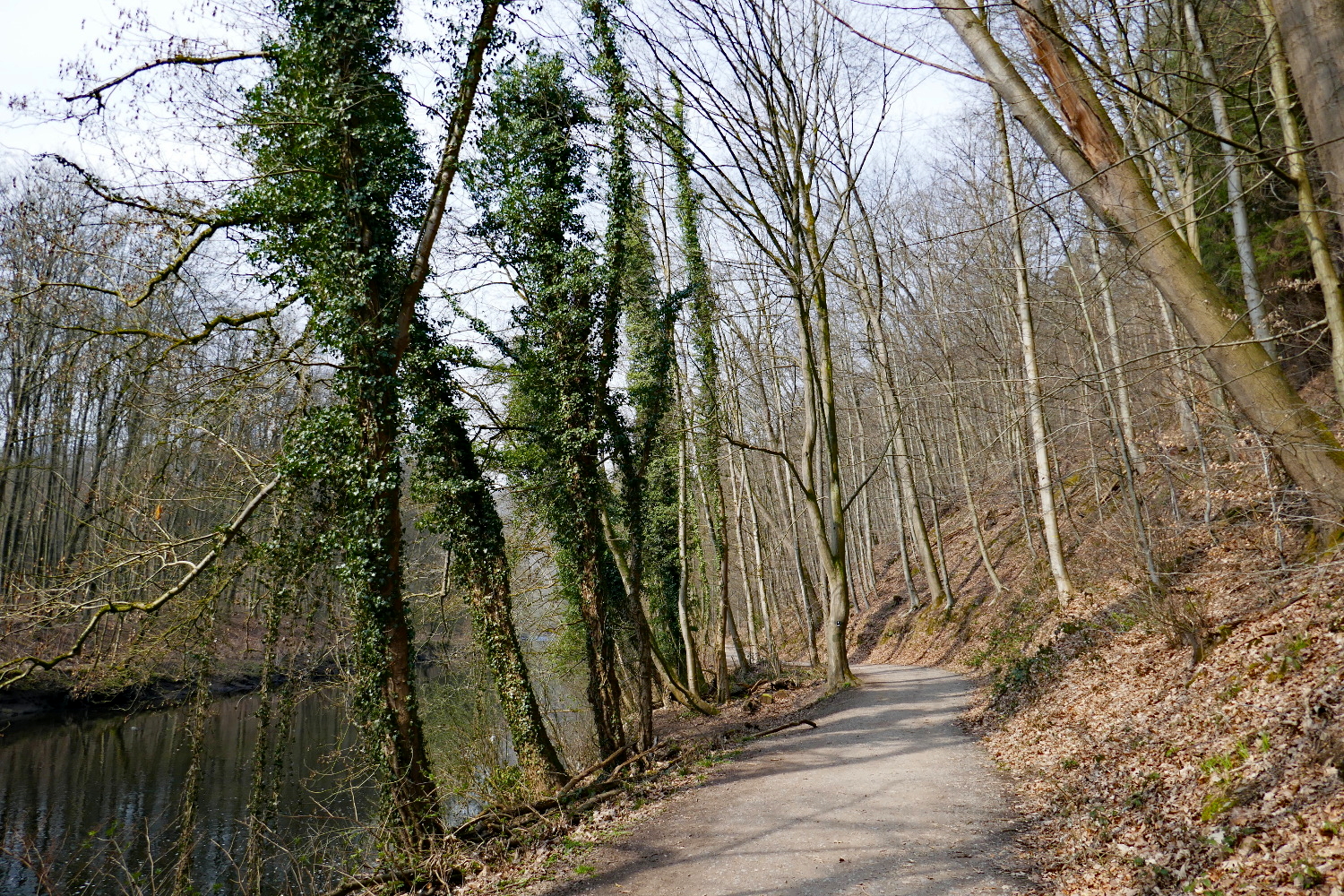 Bergische Wanderungen: Trampelpfade