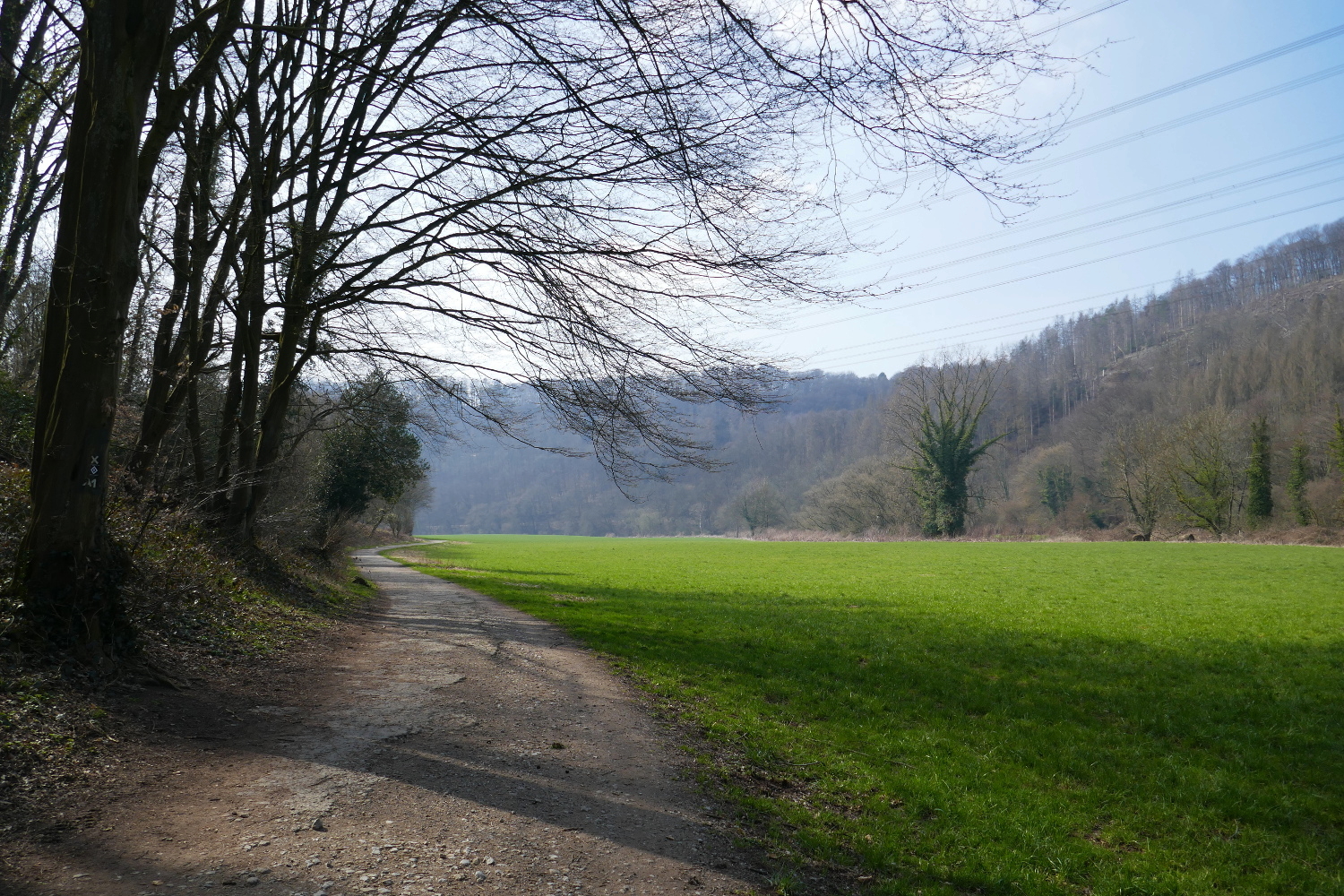Bergische Wanderungen: Trampelpfade