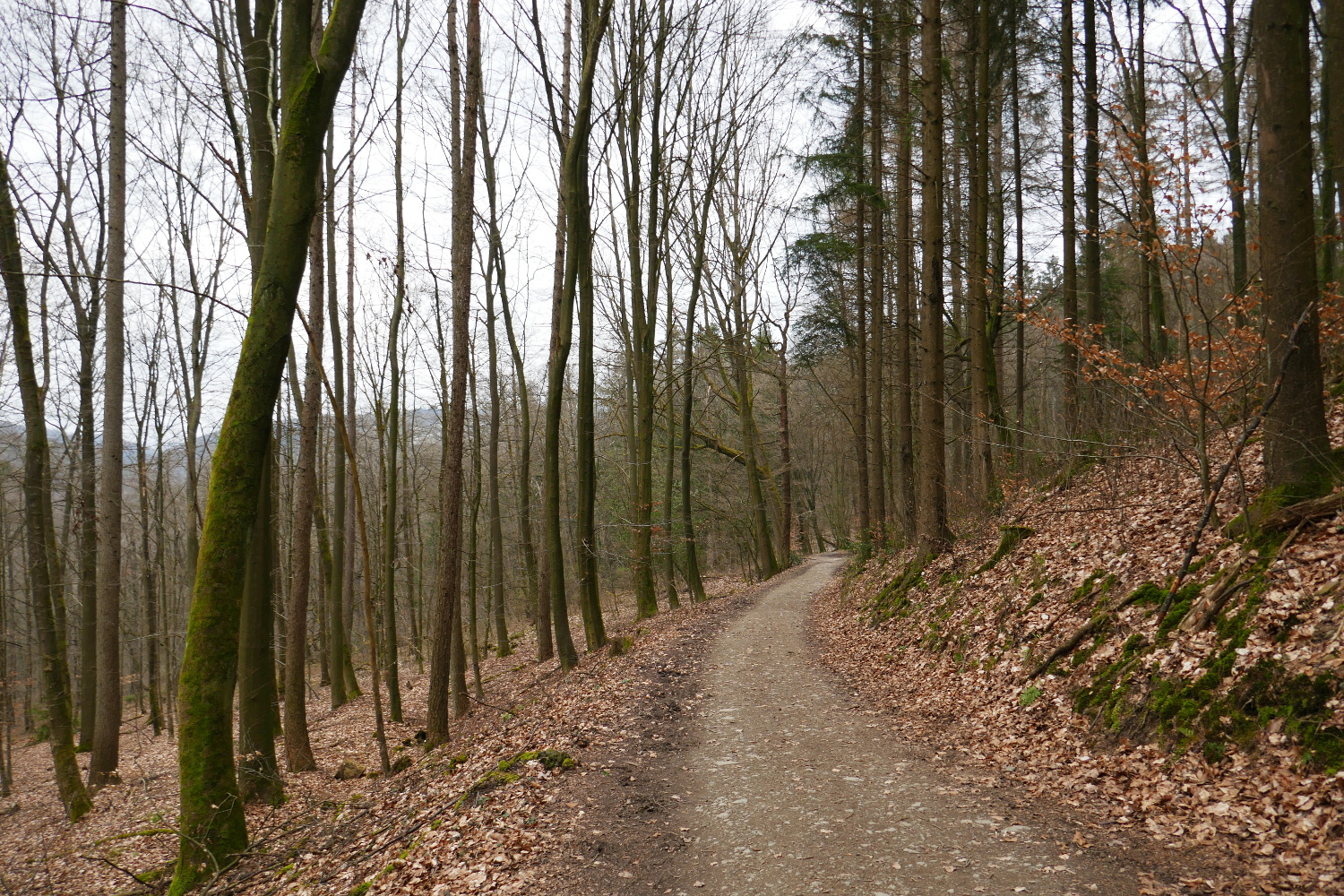 Bergische Wanderungen: Trampelpfade