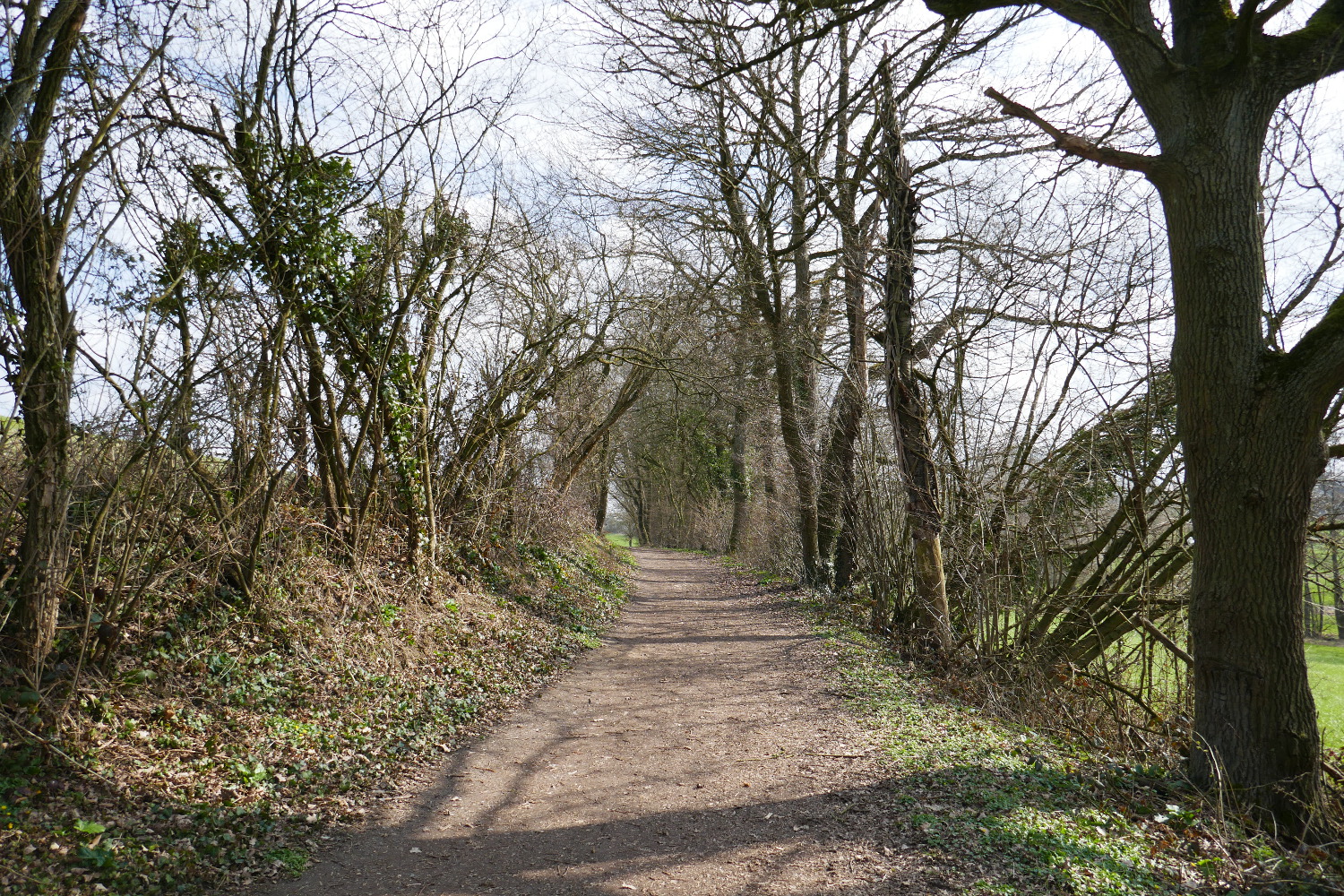 Wandertag Neanderland IV