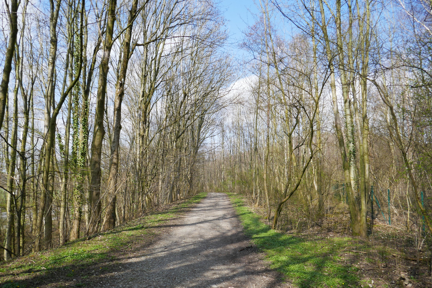Wandertag Neanderland IV