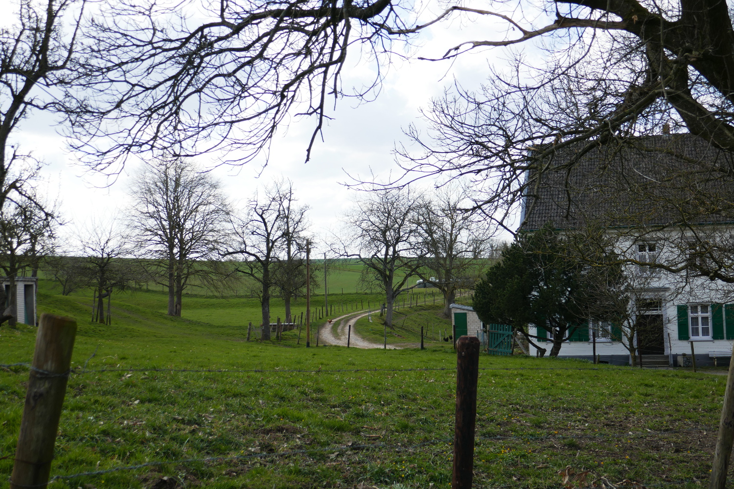 Wandertag Neanderland IV