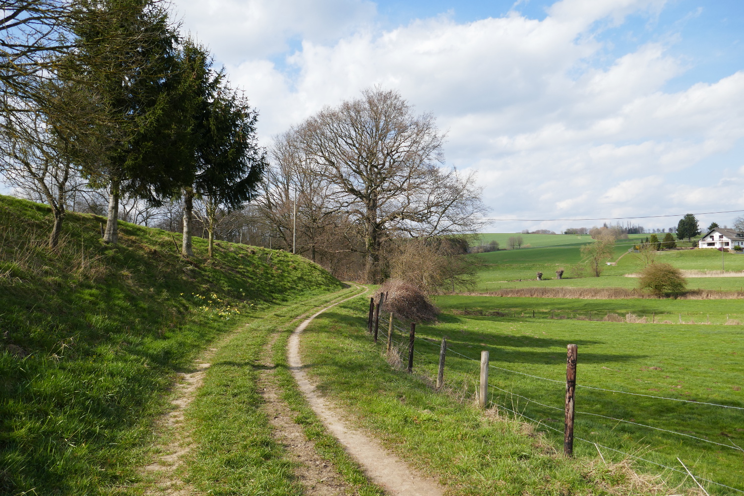 Wandertag Neanderland IV