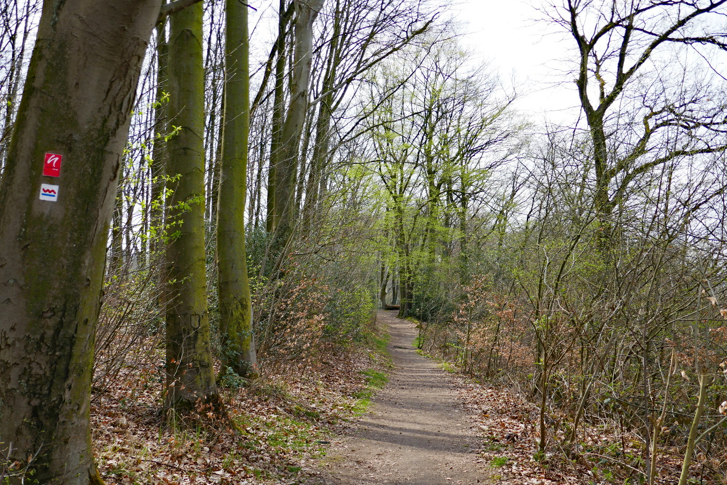Kettwiger Panoramasteig - Etappe #1