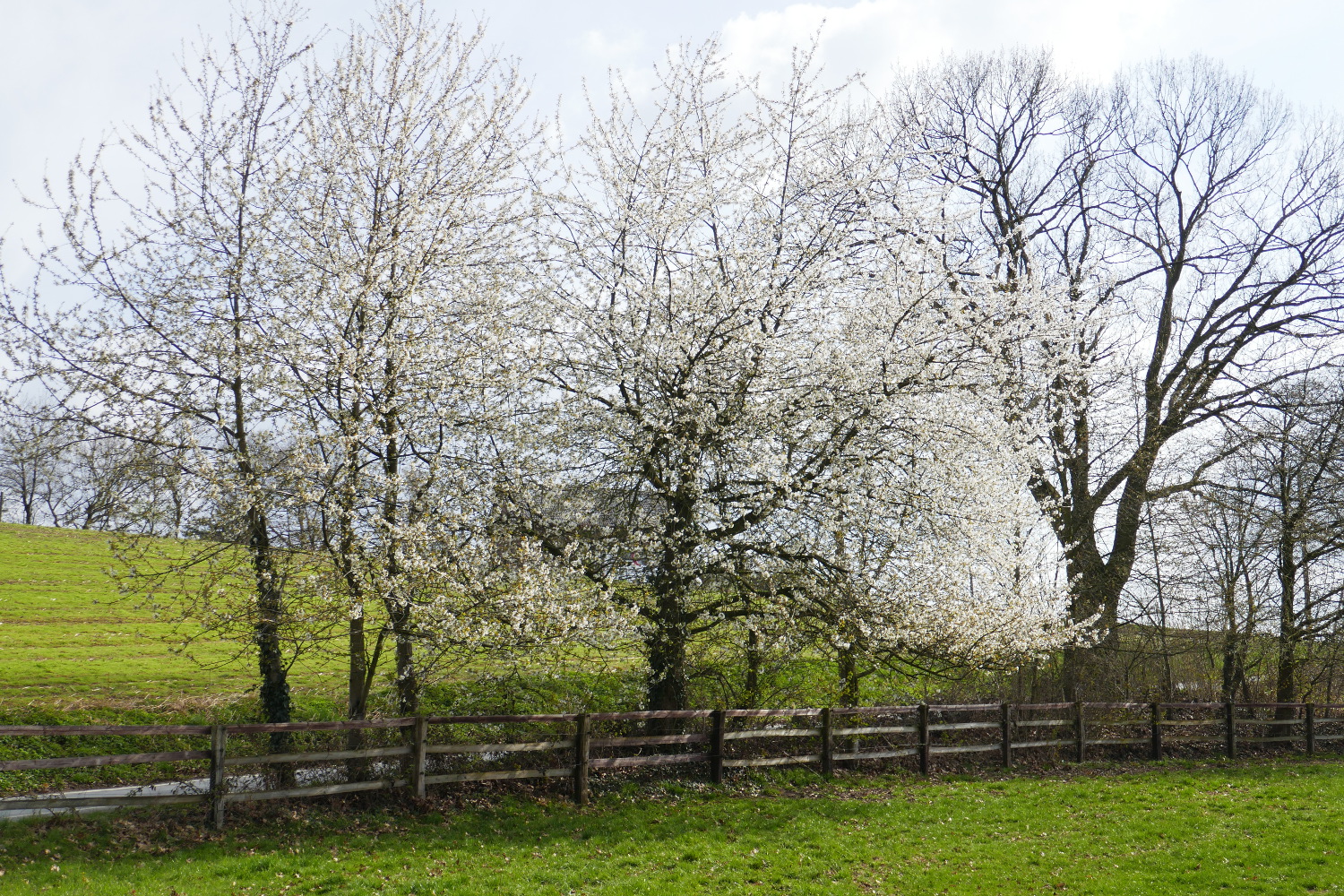 Kettwiger Panoramasteig - Etappe #1