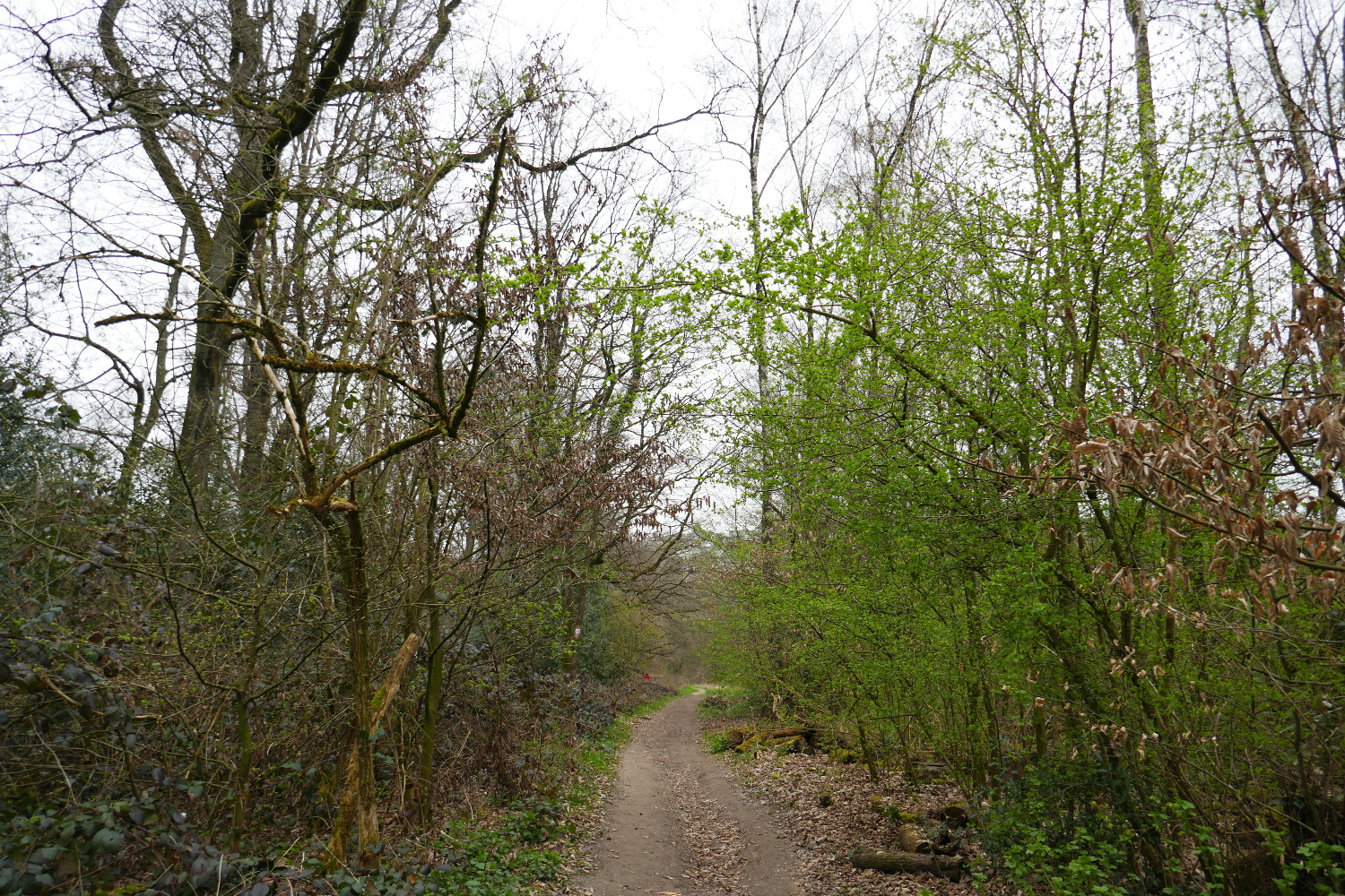 Kettwiger Panoramasteig - Etappe #2