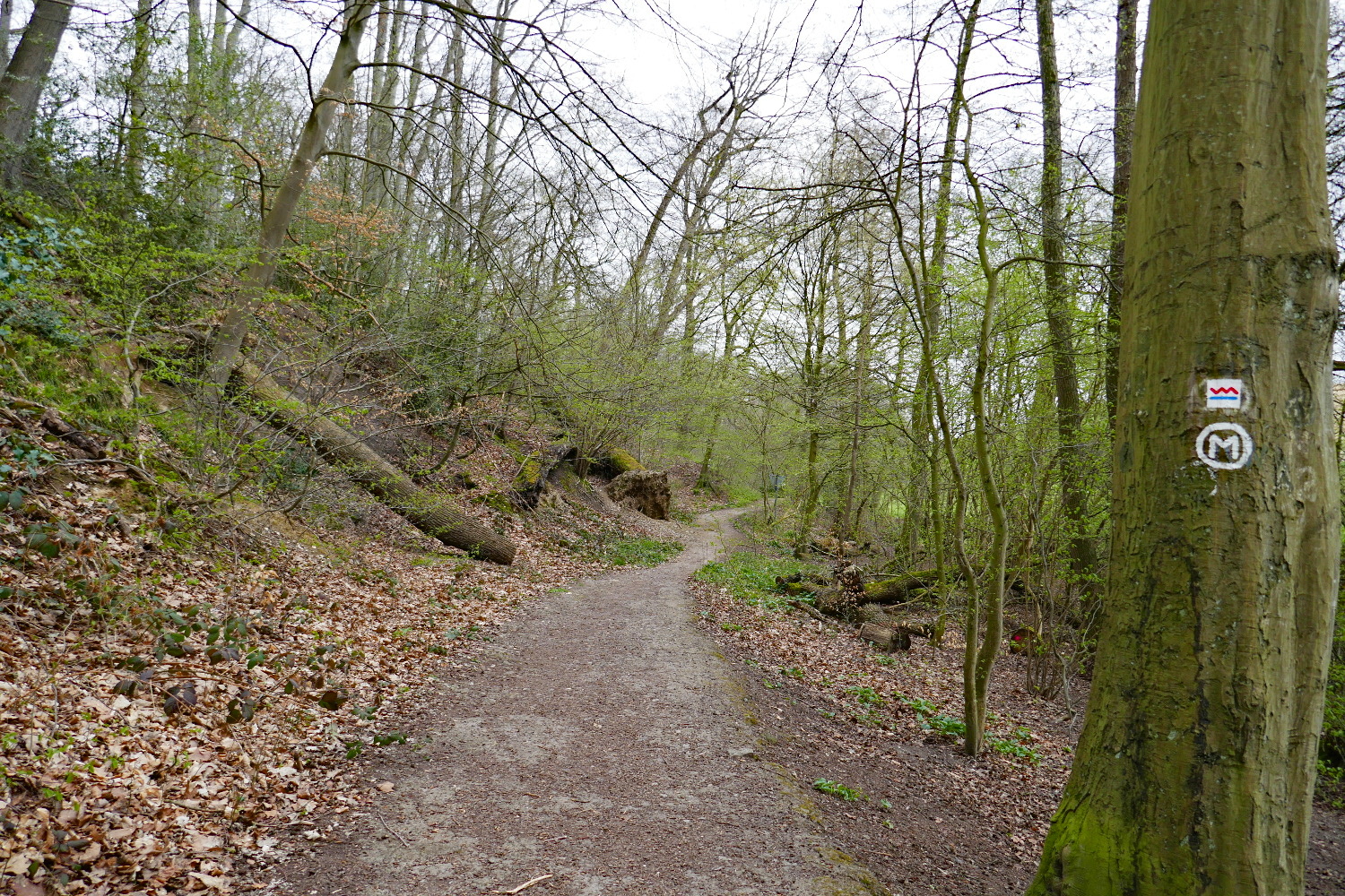 Kettwiger Panoramasteig - Etappe #2