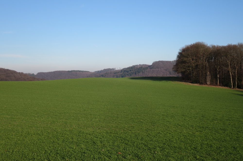 Wanderrunde durch die Elfringhauser Schweiz