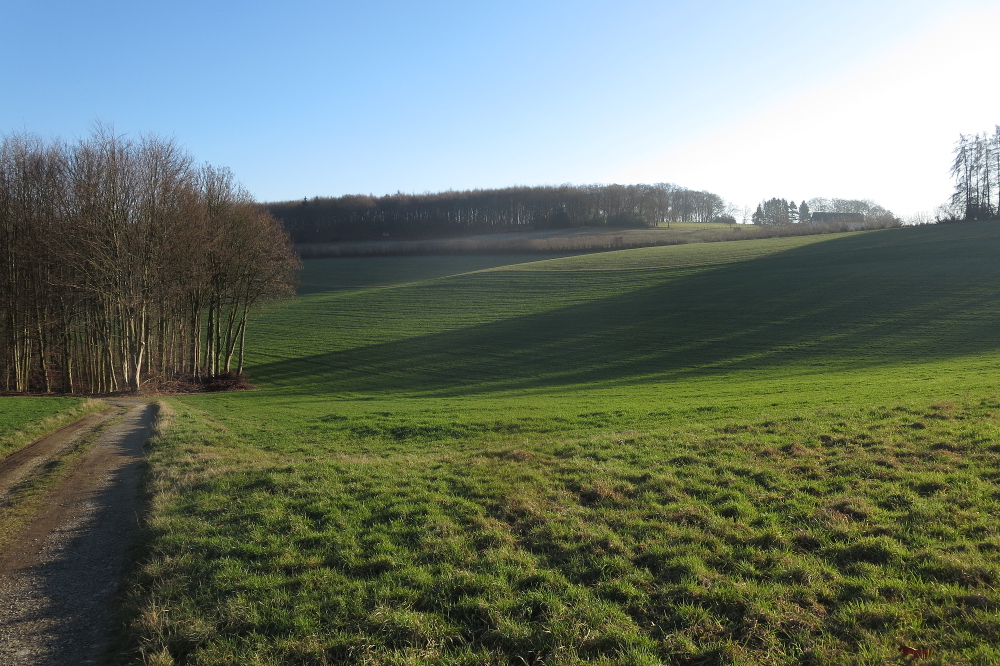 Wanderrunde durch die Elfringhauser Schweiz