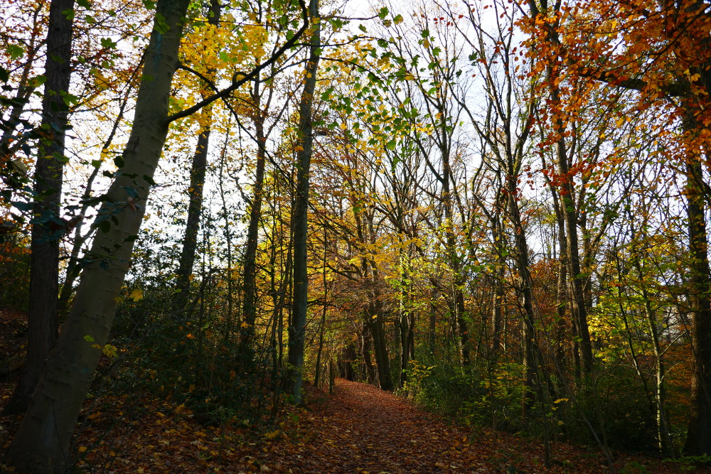 Wetter – Von-der-Recke-Weg