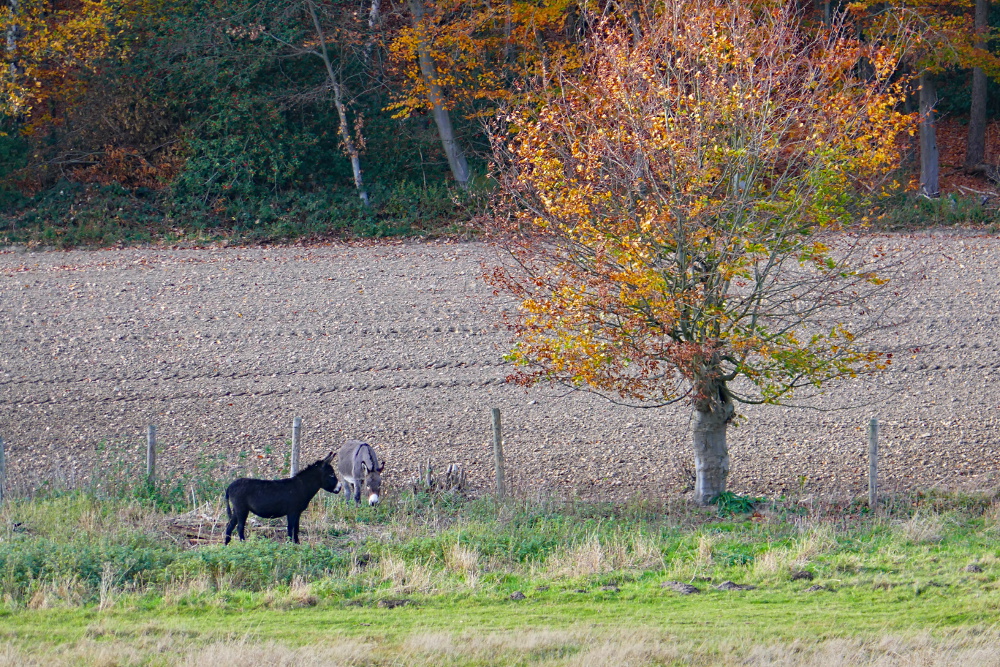 Wetter – Von-der-Recke-Weg