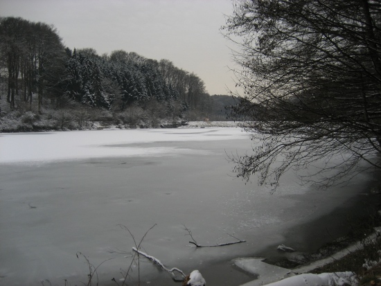 Rund um Bergisch-Neukirchen