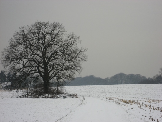 Rund um Bergisch-Neukirchen