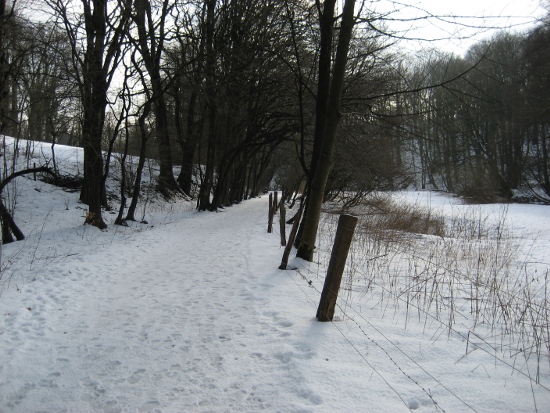 Schatz von Gruiten