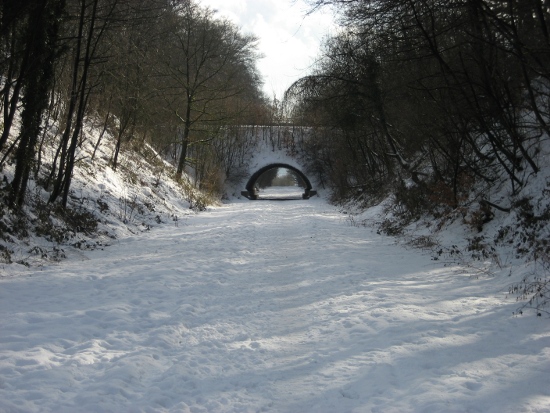 Schatz von Gruiten
