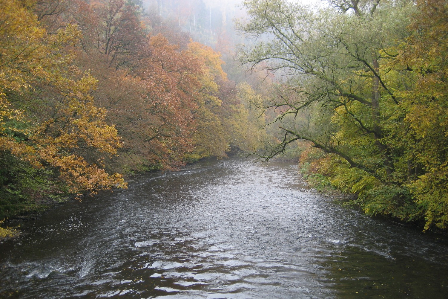 Wupper am Obenrüdener Kotten