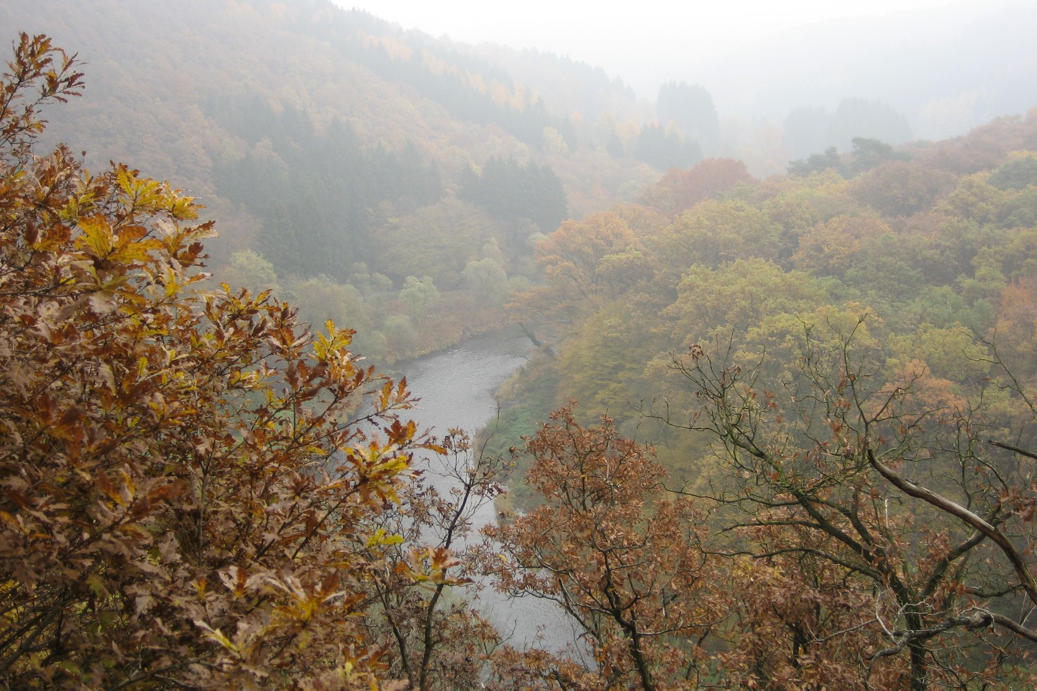 Wupper bei Balkhausen