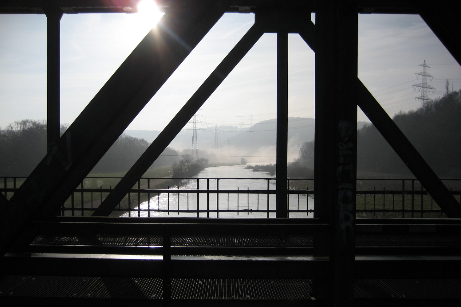 Im Gegenlicht