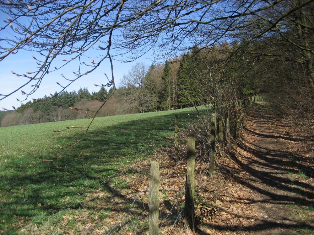 schöne Wegführung