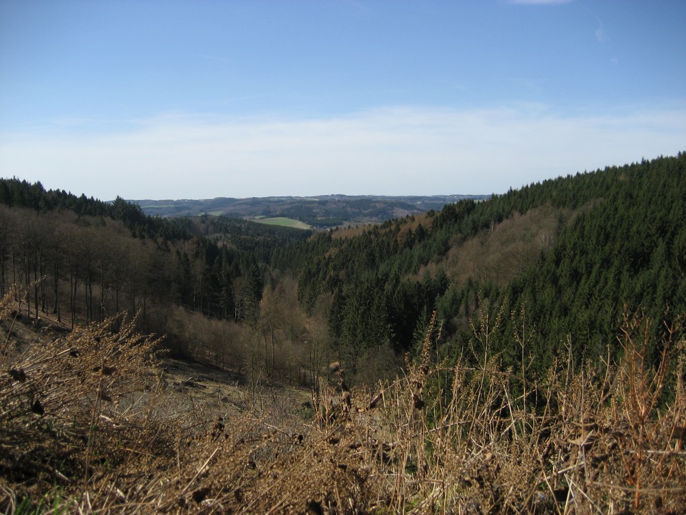 Blick ins Sauerland