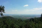 Pfälzer-Höhen-Runde