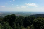 Pfälzer-Höhen-Runde