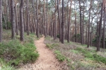 Pfälzer-Höhen-Runde